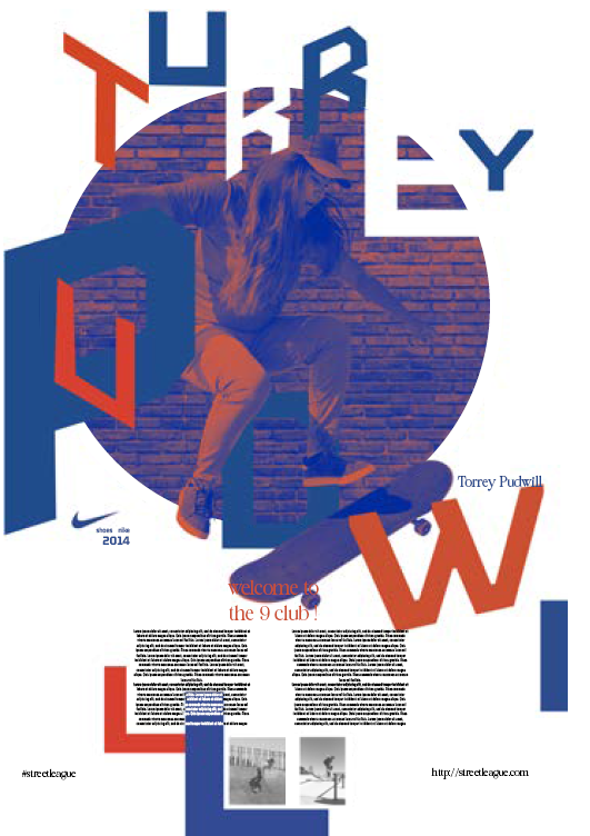 Affiche Skate Torrey Pudwill